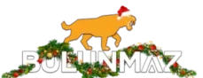 bulunmaz christmas logo